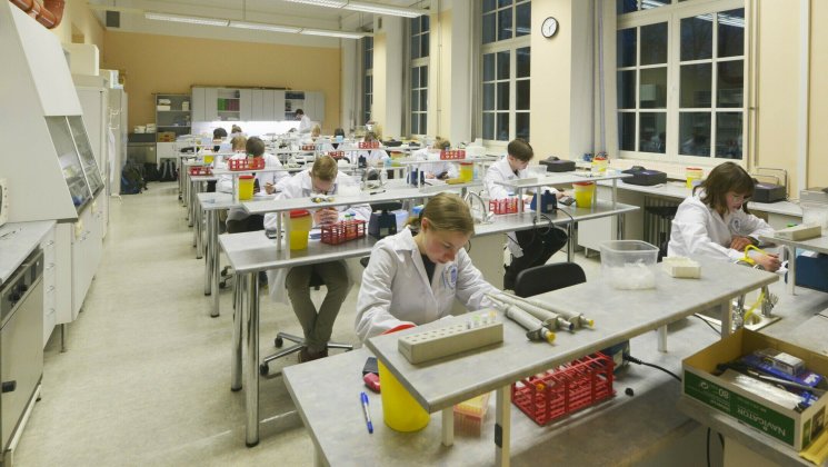 Bioloogiaolümpiaadi lõppvooru osalejad biokeemia ülesandeid tegemas